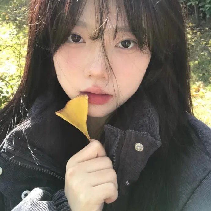 玉屏风